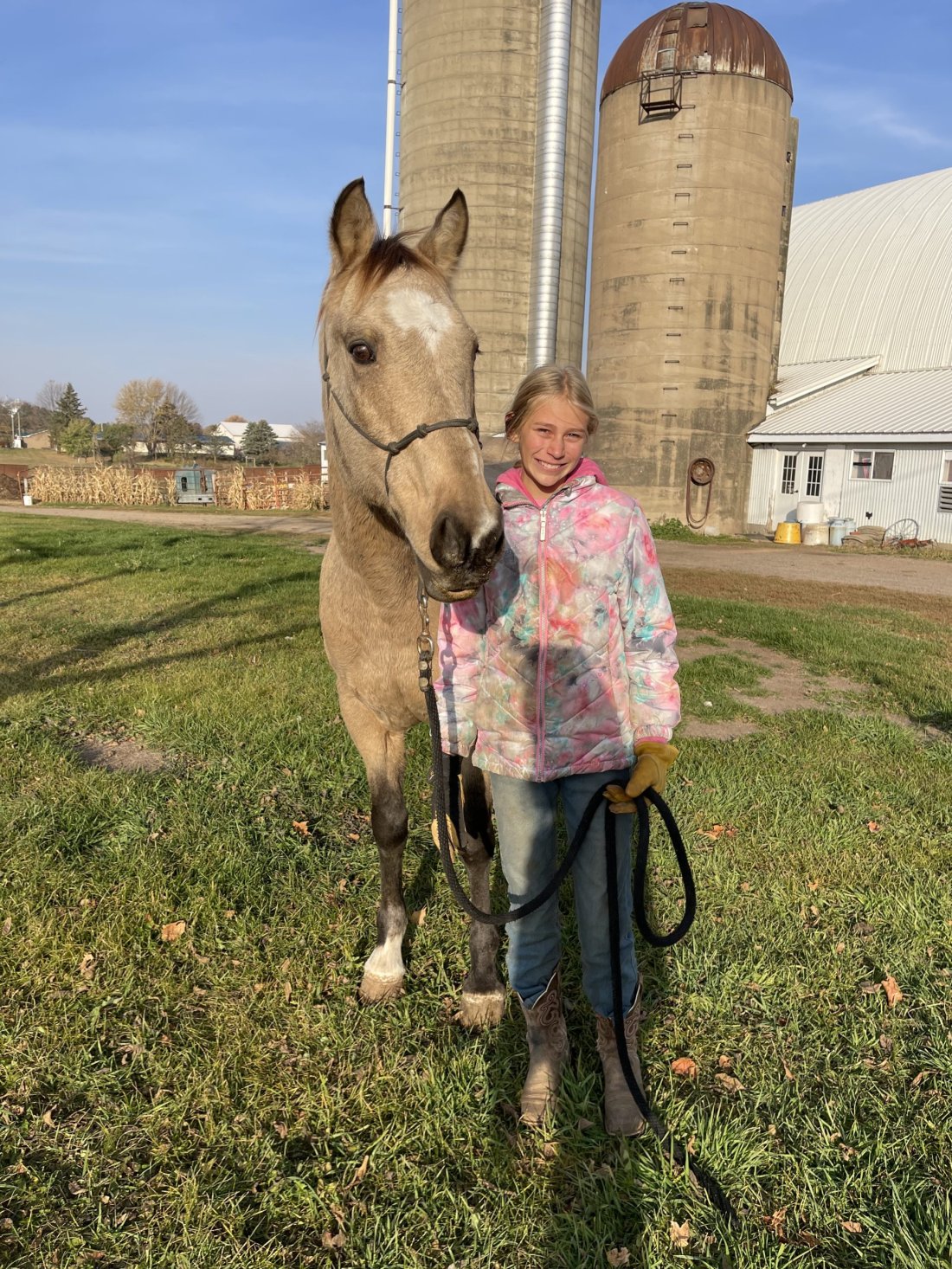 Nevada – 2008 Grade Buckskin Gelding