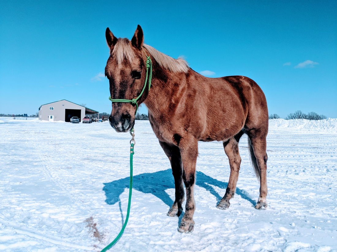 Sledding fun with Quiver!